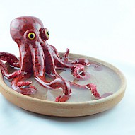 clay octopus