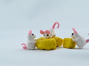 little mouse feast