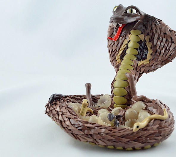 King cobra with babies