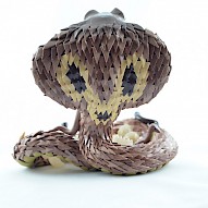 King cobra with babies