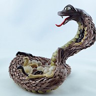 King cobra with babies