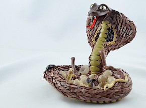 King cobra with babies