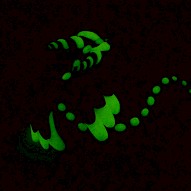 glow in dark napping dragon