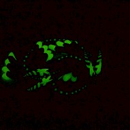 glow in the dark purple dragon couple
